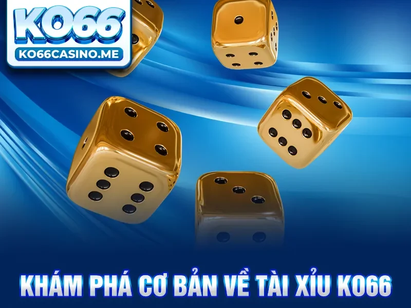 Khám phá cơ bản về Tài Xỉu KO66